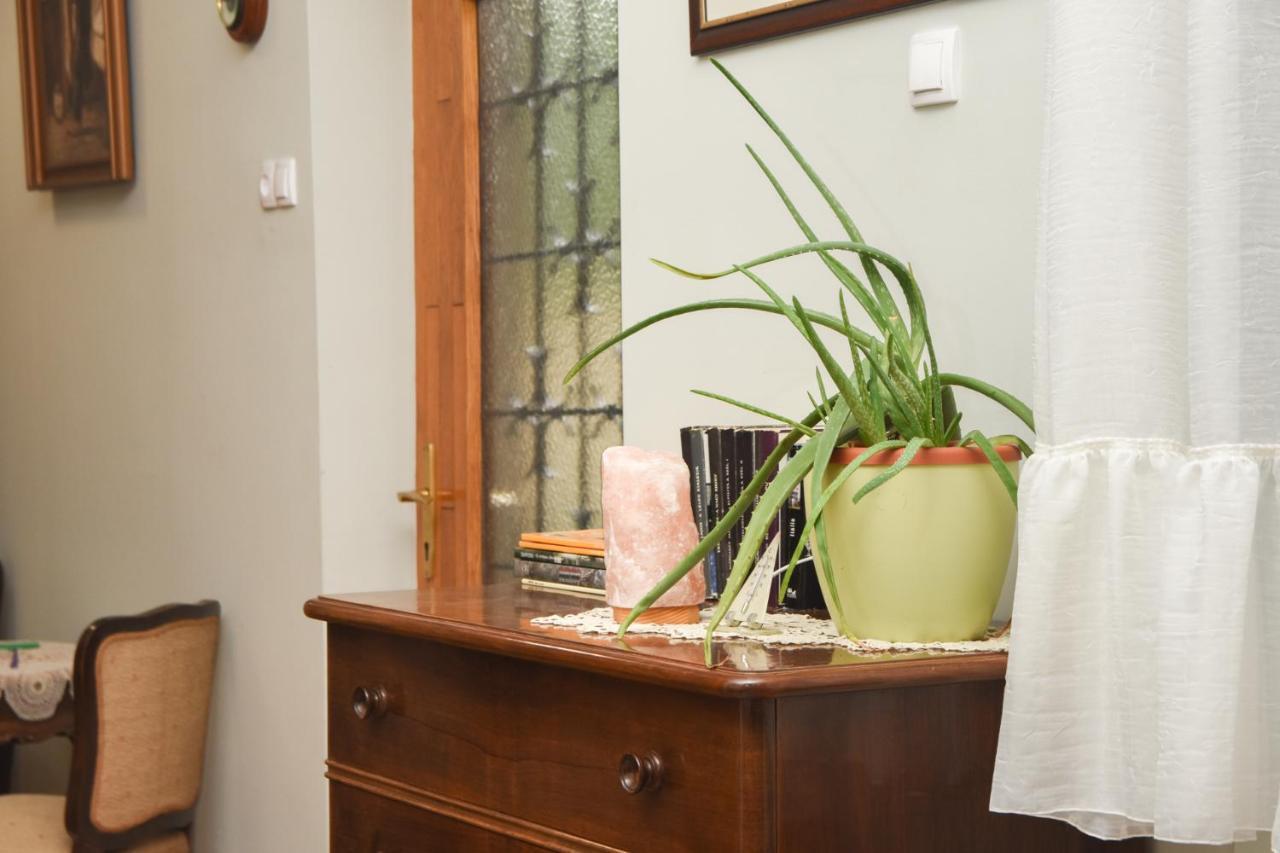 Apartman Woolf Senta Екстер'єр фото